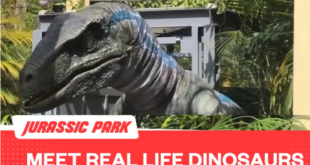 Meet Raptor from Jurassic Park
