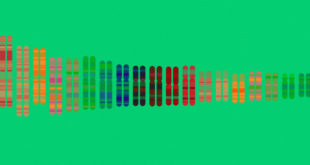 As DNA Test Sales Plummet, 23andMe Lays off 100 Workers