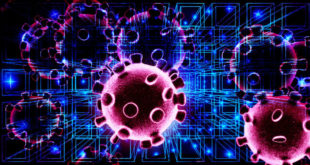 Hackers Are Using Coronavirus Maps to Spread Malware