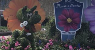 Review: Epcot's Flower & Garden Festival Part 1 | | DisKingdom.com | Disney | Marvel | Star Wars