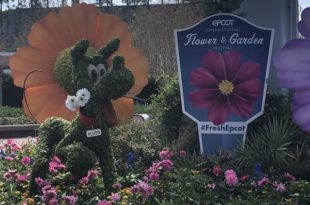 Review: Epcot's Flower & Garden Festival Part 1 | | DisKingdom.com | Disney | Marvel | Star Wars