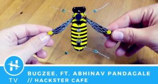 BugZee, ft. Abhinav Pandagale // Hackster Café