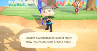 I Finally Found A Bug Blathers Doesn’t Hate In Animal Crossing: New Horizons