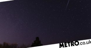 Lyrid meteor shower UK: shooting stars will light the night this week