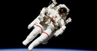 NASA Reveals How Many People Applied to Become an Astronaut