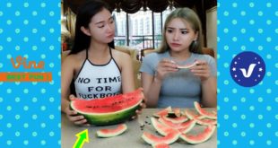 Funny Videos 2019 ● People doing stupid things P12