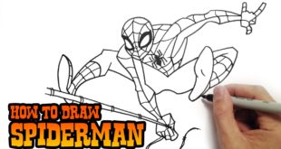 How to Draw Spiderman Live Drawing Tutorial Video