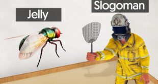 SLAP The ANNOYING FLY To WIN! (Annoying Game)