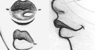 How to Draw Lips - Front, Side, 3/4 View ♡