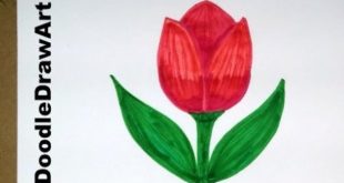 Drawing: How To Draw Cartoon Tulip Flower - Easy Drawing Lesson