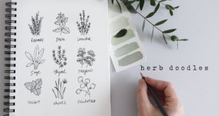 How To Draw Herbs | Fun Beginner Doodles