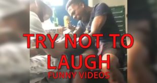 Try Not to Laugh || Funny Videos