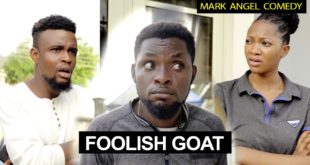 Foolish Goat | Funny Videos | Mark Angel Comedy