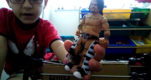 WWE Toy collection