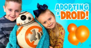 We're Adopting BB-8! Star Wars Hero Droid BB-8 by SpinMaster!