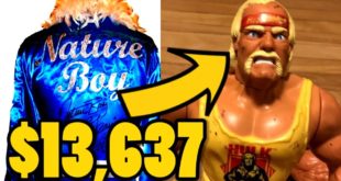 WWE Top 10 Wrestling  Collectibles(Merchandise and Action Figures) That Are Worth A Fortune