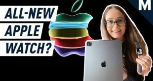 Apple's 2020 September Event: What To Expect With New iPad and Apple Watch | Mashable