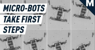 Millions of Microscopic Robots Learn to Walk | Mashable
