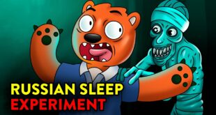 Russian Sleep Experiment! | Animated Cartoons Characters | Animated Short Films