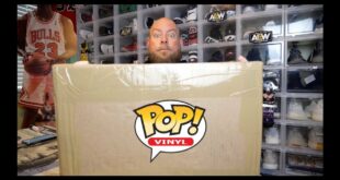 Unboxing a $200 Poptopia Funko Pop Mystery Box & HIT A GRAIL THIS TIME!