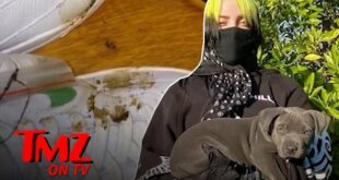 Billie Eilish’s Cute Puppy Pooped All Over Her Very Expensive Shoes | TMZ