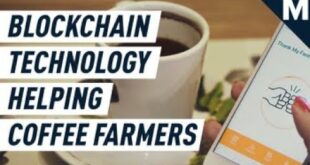 Blockchain Technology Is Helping Farmers Be More Sustainable | Mashable