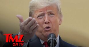 Donald Trump Suggests Presidential Election Should Be Delayed | TMZ