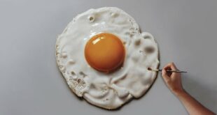 Fried Egg | Painting on canvas - How to Paint 3D Art