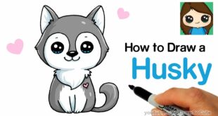 How to Draw a Husky Puppy Easy