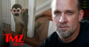 Jesse James' Pet Monkey Breaks into Neighbor's House, Gets Aroused | TMZ