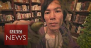 Manga artist Hajime Isayama reveals his inspiration - BBC News