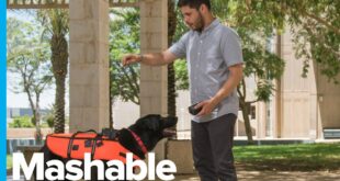 Remote Control Your Dog With This Vibrating Vest