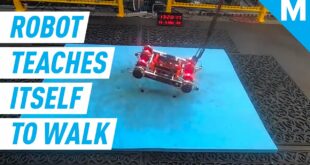 This Artificially Intelligent Robot Taught Itself To Walk | Future Blink