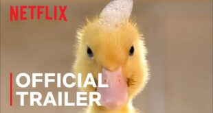 Tiny Creatures | Official Trailer | Netflix
