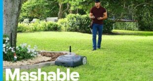 Mowing Your Lawn Could Be Easier than Ever with This Little Robot