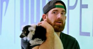 Office Pet | The Dude Perfect Show