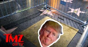 Donald Trump Walk of Fame Star Caged, Boarded Up | TMZ TV