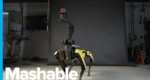 This Robot Dog Has Better Dance Moves Than You