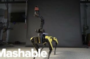 This Robot Dog Has Better Dance Moves Than You