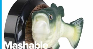 This Talking Fish Has Amazon Alexa Inside