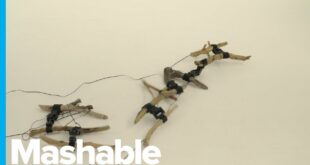 Creepy Crawling Robot Has a Skeleton Made From Tree Branches