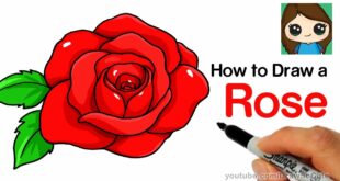 How to Draw a Rose Easy - step by step rose drawing easy