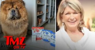Martha Stewart Drops Cannabis Products For Dogs | TMZ TV