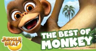 The Best of Monkey - Jungle Beat Compilation [Full Episodes]
