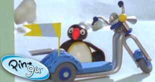 Pingu and the New Scooter! | Pingu Official | 1 Hour | Cartoons for Kids