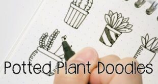 Potted Plant/Succulent Doodles | Doodle with Me