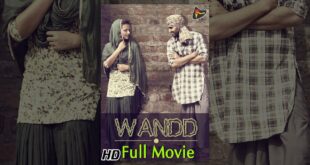 Wandd | Latest Punjabi Movies 2014 | New Full Popular Punjabi Movie | Latest Punjabi Movie 2015 HD