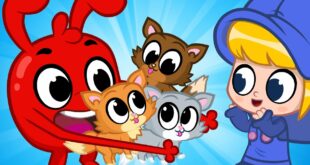 Morphle and the Kittens - Mila and Morphle | BRAND NEW | Cartoons for Kids