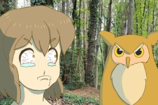 [ OWL STARING CONTEST ] Animated Movie Short Anime Girl Manga Kawaii Cute Animals