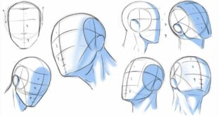 How to Draw Heads - Dividing it Into Thirds